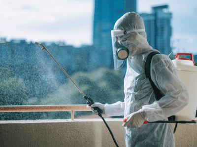 About Texas Rat & Mice Trap Masters - mice exterminator experts in San Antonio, TX